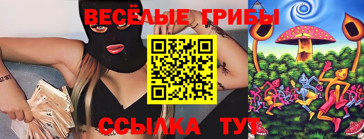 Галлюциногенные грибы GOLDEN TEACHER  Вход с VPN  Магнитогорск 